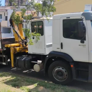 Aluguel de Caminhão com Munck